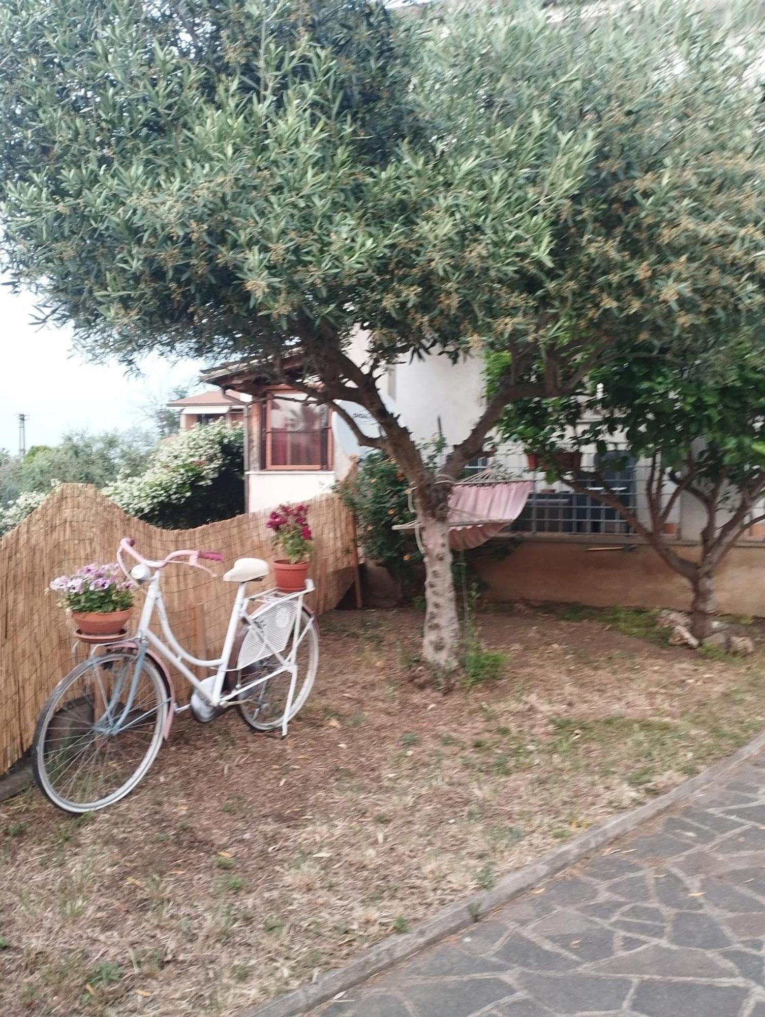 Privatunterkunft Elena House *